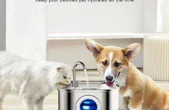 מזרקת מים חכמה לחתולים עם חיישן אוטומטי