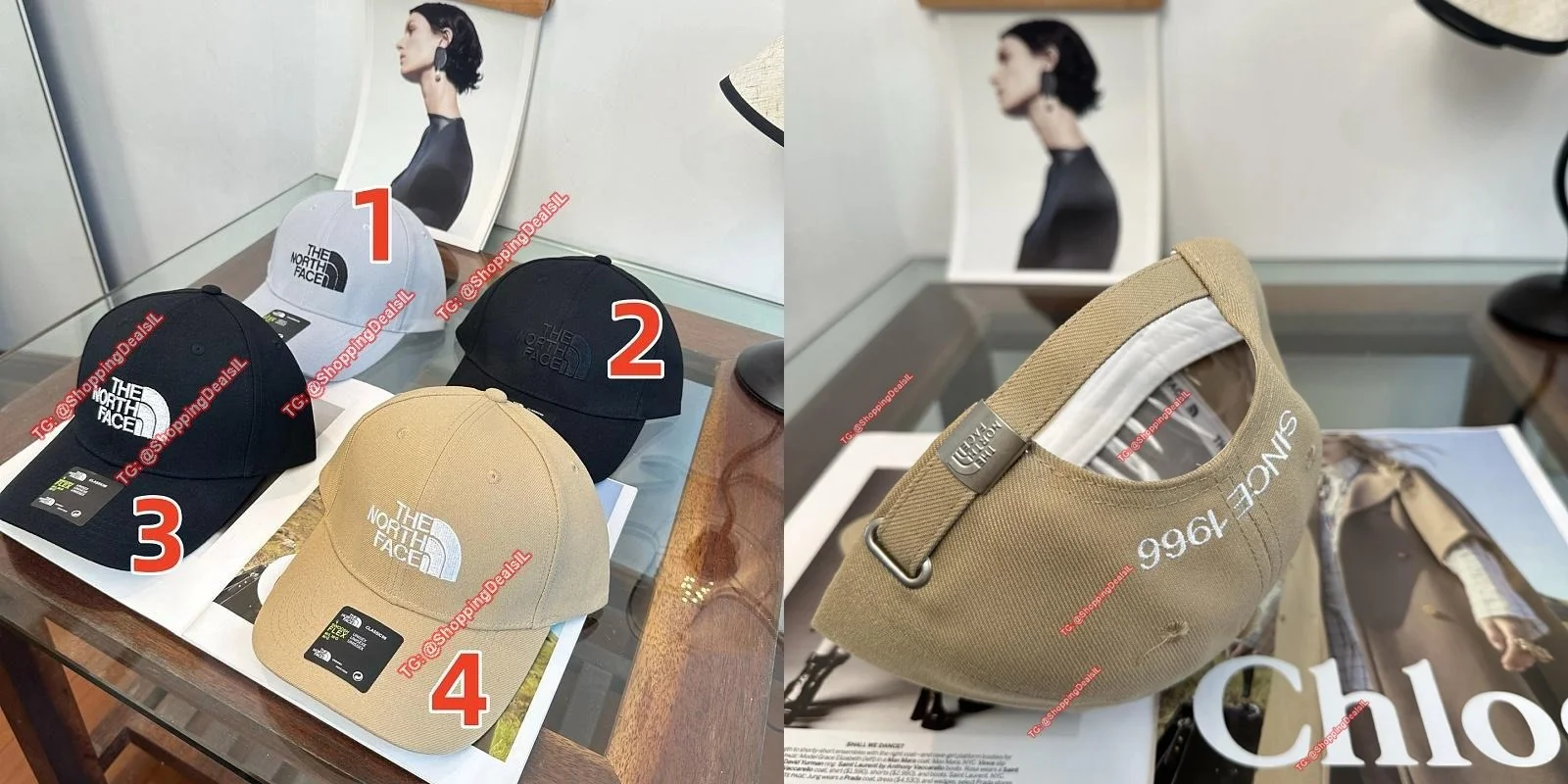 כובע נורט פייס המבוקש מתאים לטיולים וליומיום ובמחיר שבירת שוק