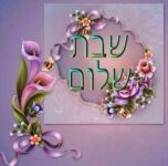 מערכת חיפוש מותגים שתשנה את הדרך בה אתם קונים באינטרנט
