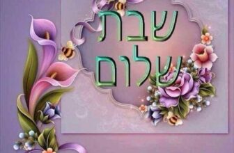מערכת חיפוש מותגים שתשנה את הדרך בה אתם קונים באינטרנט