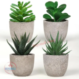 מגוון עציצים