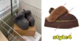 כפכפי UGG