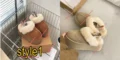 כפכפי UGG
