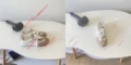נעלי סניקרס פראדה בדגם הכי חם עכשיו נוחות של הביוקר ובמחיר רצפה פסיכי לחלוטין