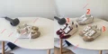נעלי סניקרס פראדה בדגם הכי חם עכשיו נוחות של הביוקר ובמחיר רצפה פסיכי לחלוטין